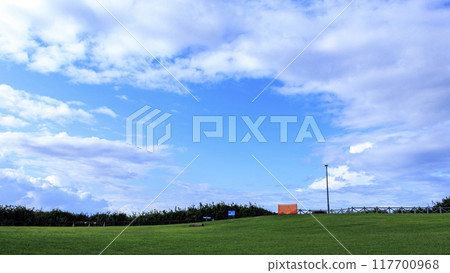 Summer in Jogashima, Miura City, Miura Peninsula 117700968