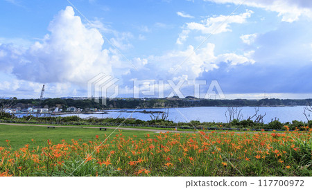 三浦半島三浦市城島的夏天 117700972