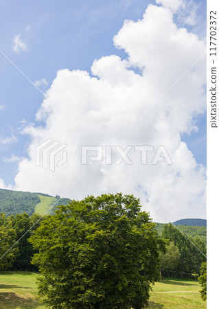 Midsummer scenery of Okushiga Highlands Midsummer scenery of Okushiga Highlands 117702372