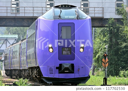 Extra train Extra train 117702530