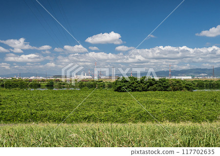 Summer scenery of the Yodo River: View from the exit area of Yodo River Park Summer scenery of the Yodo River: View from the exit area of Yodo River Park 117702635