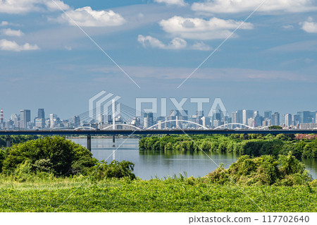 Summer scenery of the Yodo River: View from the exit area of Yodo River Park 117702640
