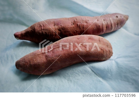 Two sweet potatoes 117703596