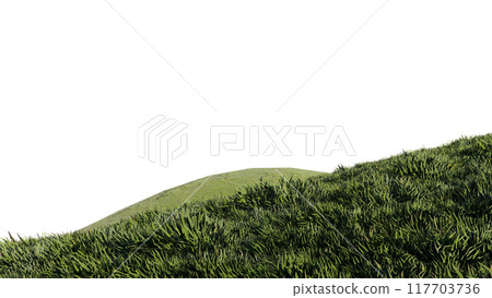 nature grass meadow land lush greenery landscape lawn isolated background. meadow green hill plant beautiful spring mountain park environment 3d render. grass plant field summer travel outdoor. 117703736