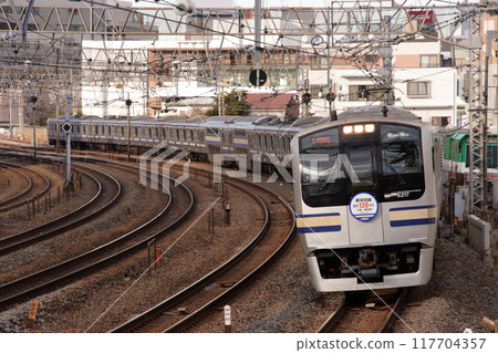 橫須賀線E217系列（舊色）沿著東海道線平行路段行駛，大量軌道排列_2010年1月16日拍攝的照片 117704357
