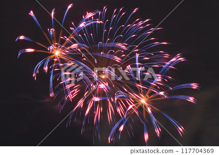Fireworks Fireworks 117704369