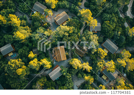 Aerial view of a secluded wellness retreat nestled in the heart of the forest, cabins and yoga Aerial view of a secluded wellness retreat nestled in the heart of the forest, cabins and yoga 117704381