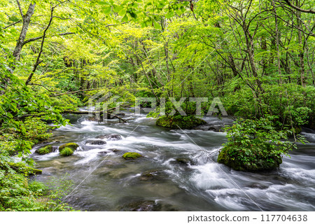 The Oirase Gorge, which I visited on a solo trip to Aomori, was a clear stream with a series of spectacular views. 117704638