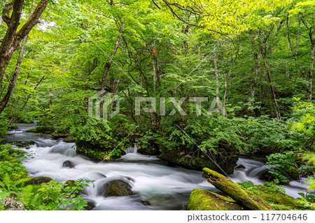我獨自去青森旅行時參觀過的奧入瀨溪流,溪水清澈,景色連綿不斷。 我獨自去青森旅行時參觀過的奧入瀨溪流,溪水清澈,景色連綿不斷。 117704646