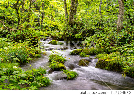 The Oirase Gorge that I visited on a solo trip to Aomori was a spectacular clear stream with a succession of spectacular views. 117704670