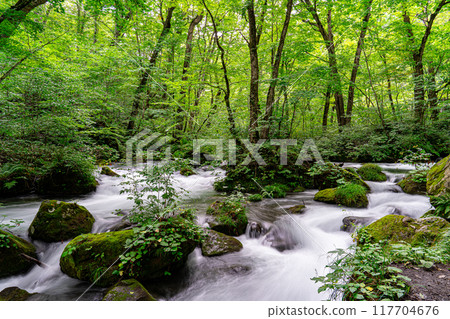 The Oirase Gorge that I visited on a solo trip to Aomori was a clear stream with a series of spectacular views. 117704676