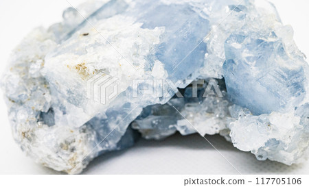 亞硒酸鈉 117705106