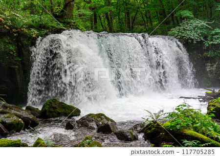 The impressive Choshi Falls at Oirase Gorge, a place I visited on a solo trip to Aomori 117705285