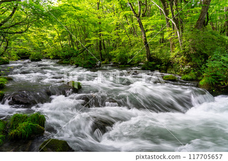 The Sanran stream is particularly famous in the Oirase Gorge, which I visited on a solo trip to Aomori. 117705657