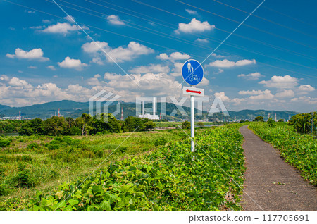 Summer scenery of the Yodo River riverbed, Hirakata City Summer scenery of the Yodo River riverbed, Hirakata City 117705691
