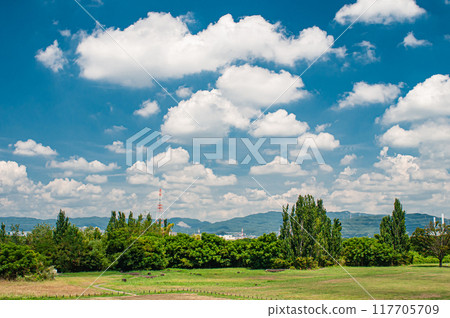 淀川公園枚方地區夏天的風景枚方市 淀川公園枚方地區夏天的風景枚方市 117705709