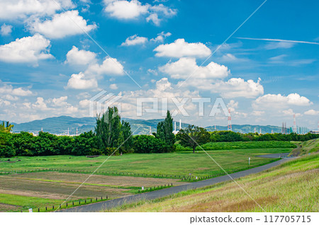 淀川公園枚方地區夏天的風景枚方市 淀川公園枚方地區夏天的風景枚方市 117705715