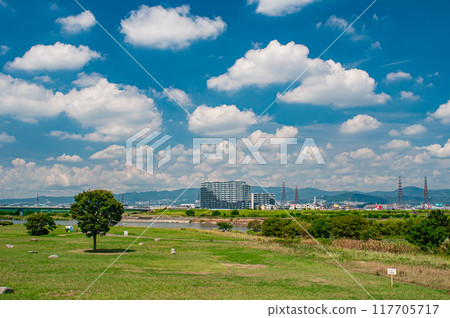 淀川公園枚方地區夏天的風景枚方市 淀川公園枚方地區夏天的風景枚方市 117705717