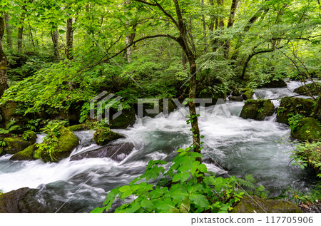The Ashura stream is particularly famous in the Oirase Gorge, which I visited on a solo trip to Aomori. 117705906