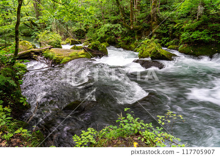 阿修羅溪，我在青森獨自旅行時參觀過的特別有名的奧入瀨溪流 117705907