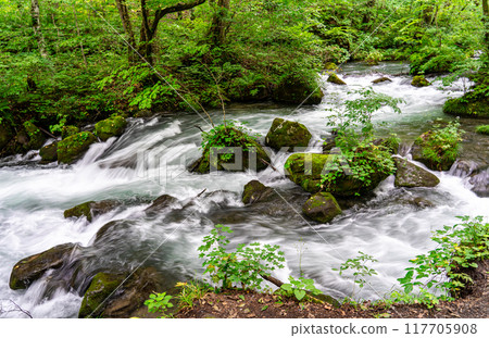 阿修羅溪，我在青森獨自旅行時參觀過的特別有名的奧入瀨溪流 117705908
