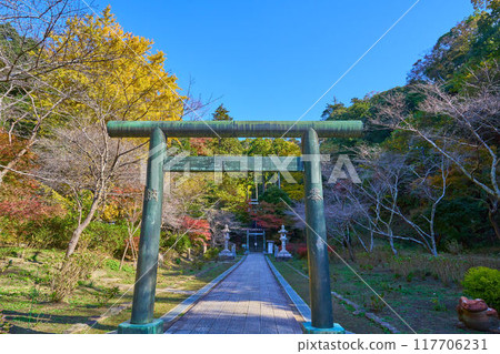 神奈川縣鎌倉市秋季建長寺半佛殿參道上的鳥居 神奈川縣鎌倉市秋季建長寺半佛殿參道上的鳥居 117706231