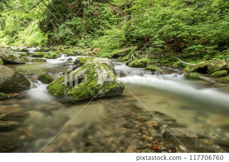 The flow of the Nuri River, a mountain stream in Katashina Village The flow of the Nuri River, a mountain stream in Katashina Village 117706760