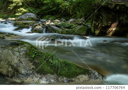 The flow of Teruha Gorge in Minakami Town, Gunma Prefecture 117706764