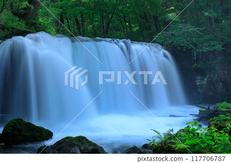 Aomori Prefecture, Oirase Stream, Choshi Falls, August 117706787