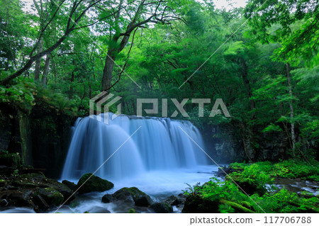 Aomori Prefecture, Oirase Stream, Choshi Falls, August 117706788