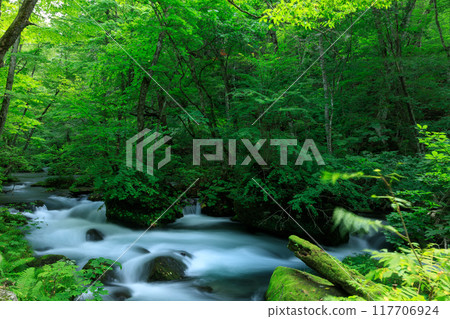 青森縣奧入瀨溪流 8 月 117706924