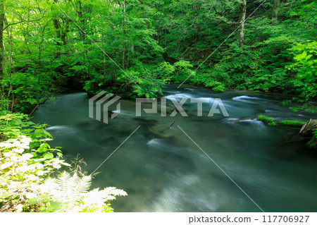 青森縣奧入瀨溪流 8 月 青森縣奧入瀨溪流 8 月 117706927