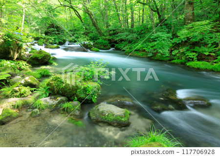 青森縣奧入瀨溪流 8 月 117706928