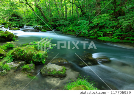青森縣奧入瀨溪流 8 月 117706929