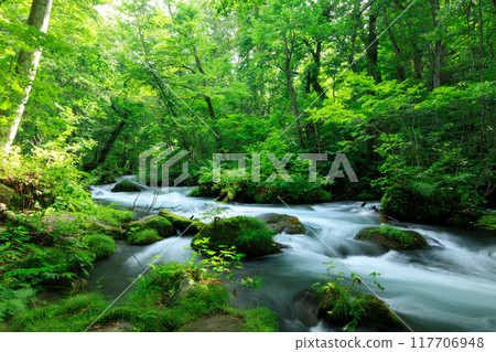 Aomori Prefecture, Oirase Stream, August Aomori Prefecture, Oirase Stream, August 117706948