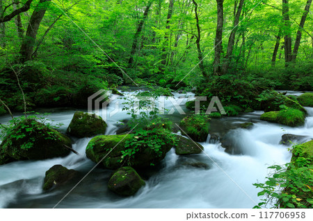 青森縣奧入瀨溪流 8 月 117706958