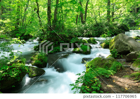Aomori Prefecture, Oirase Stream, August 117706965