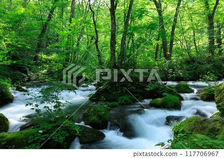 Aomori Prefecture, Oirase Stream, August 117706967