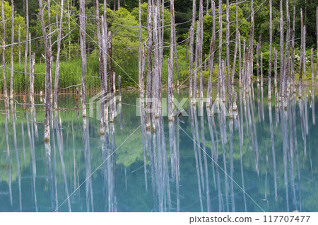 Reflection of Aoike Pond 117707477