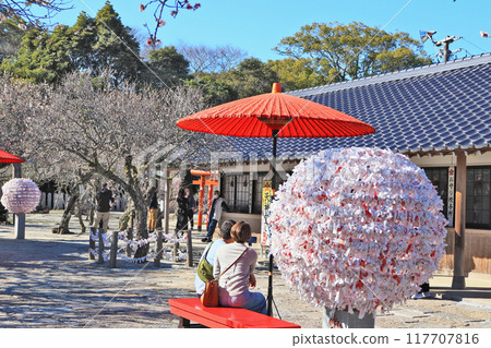 The grounds of Tsunashiki Tenmangu Shrine, a famous plum blossom spot in Chikujo, Fukuoka Prefecture The grounds of Tsunashiki Tenmangu Shrine, a famous plum blossom spot in Chikujo, Fukuoka Prefecture 117707816