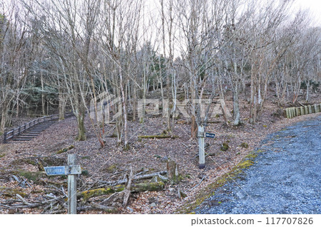 從福岡縣築城町國二森自然公園通往山頂的山路 從福岡縣築城町國二森自然公園通往山頂的山路 117707826