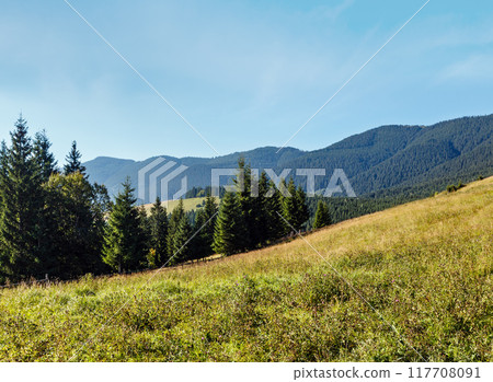 Summer mountain view (Carpathian, Ukraine). 117708091