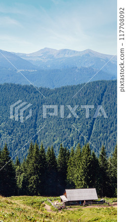 Summer mountain view (Carpathian, Ukraine). 117708092