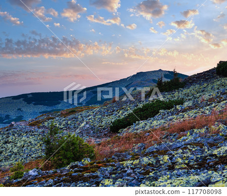 Summer sunrise mountain view (Carpathian, Ukraine). 117708098