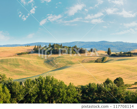 Tuscany sunrise countryside, Italy Tuscany sunrise countryside, Italy 117708114