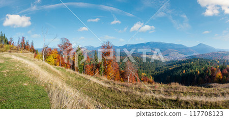 Morning autumn Carpathians landscape. 117708123