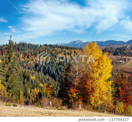 Autumn Carpathian village, Ukraine. 117708127