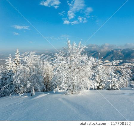 Winter mountain snowy landscape 117708133