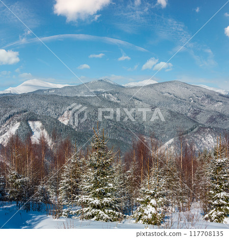 Winter morning Carpathian mountains, Ukraine 117708135