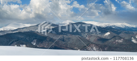 Winter snowy Carpathian mountains, Ukraine Winter snowy Carpathian mountains, Ukraine 117708136